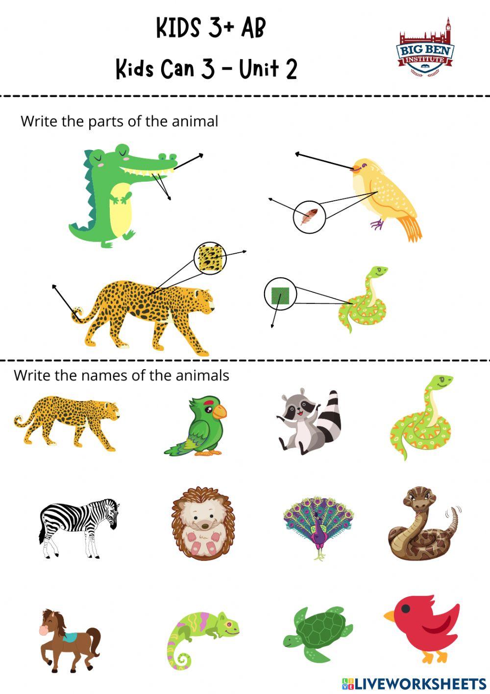 Kids 3+ Unit 2