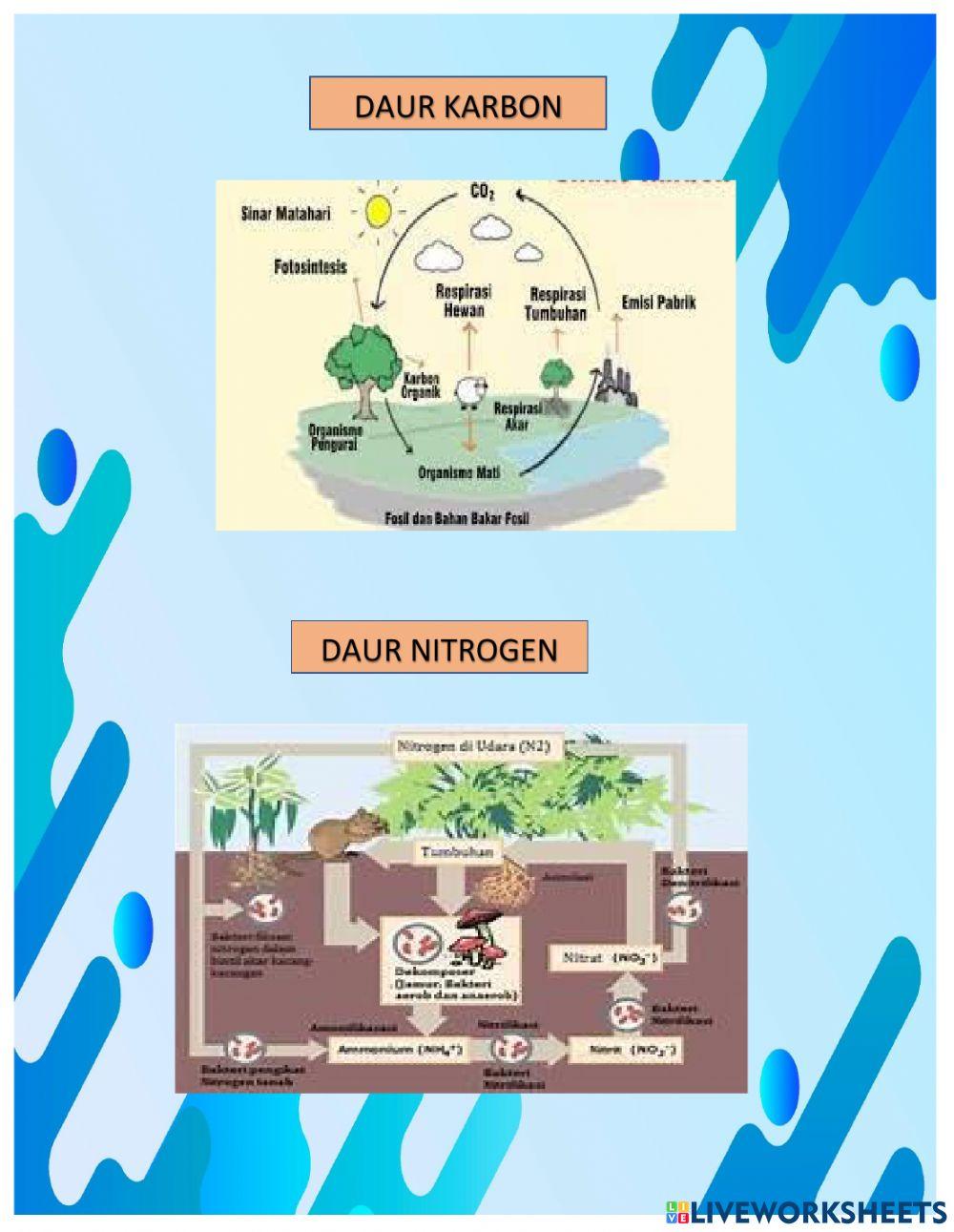 Daur biogeokimia