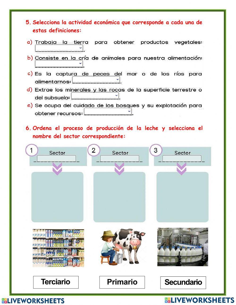 Sectores de la economía