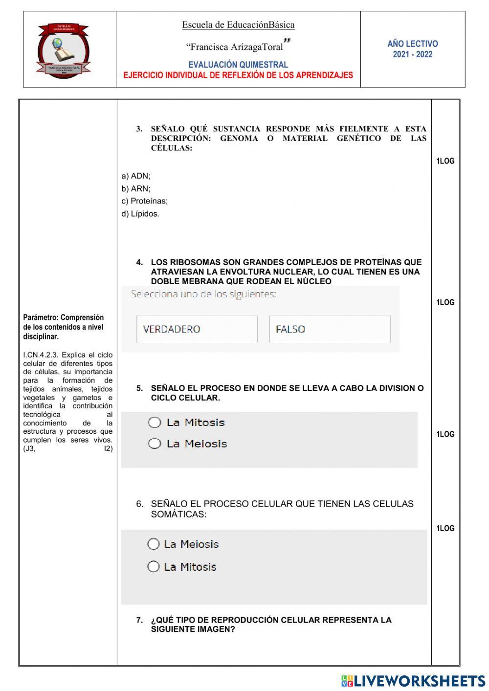 Examen CCNN - 1er. Quimestre.