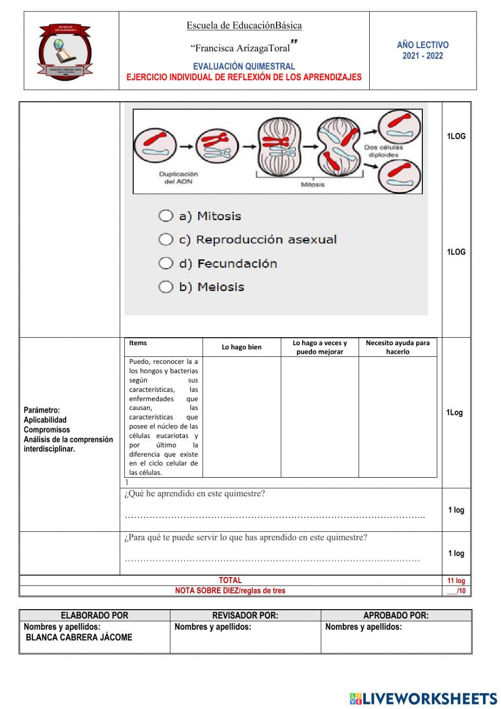 Examen CCNN - 1er. Quimestre.