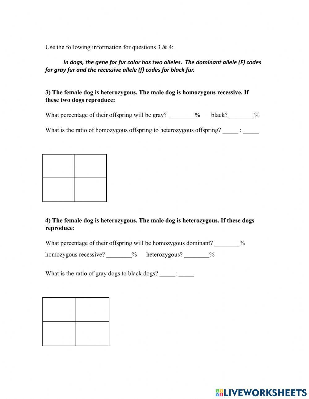 Punnett Square Practice