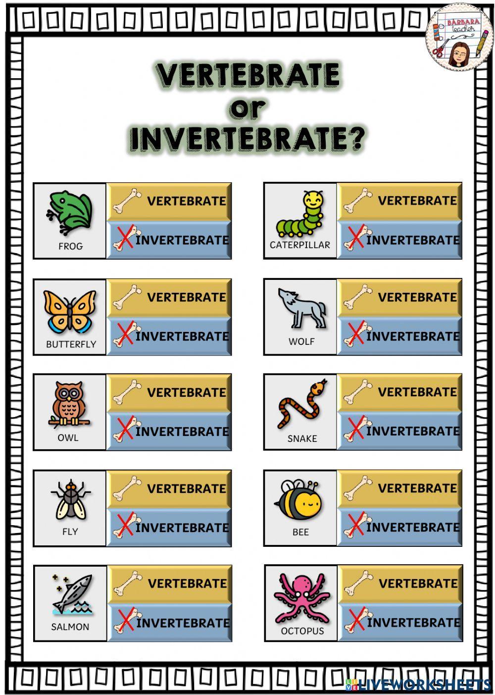 Vertebrate or invertebrate animal