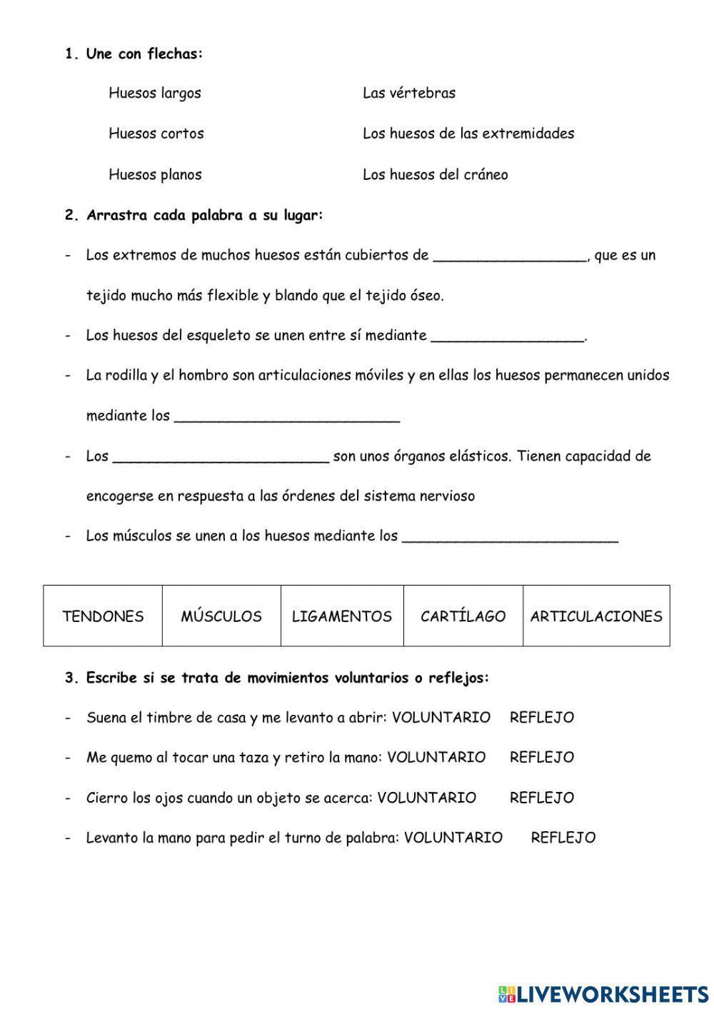 El aparato locomotor