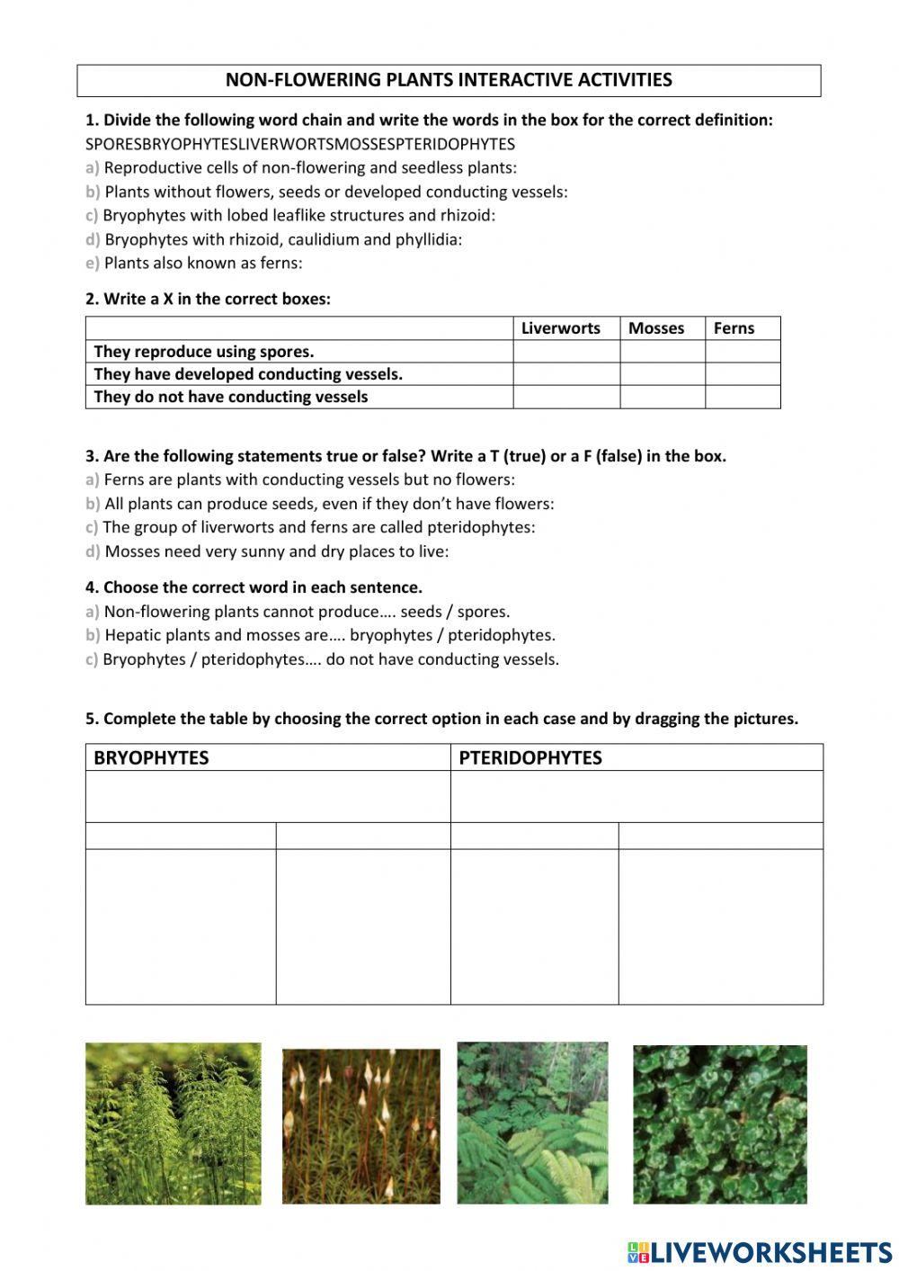 NON-FLOWERING P… | Free Interactive Worksheets | 6825091