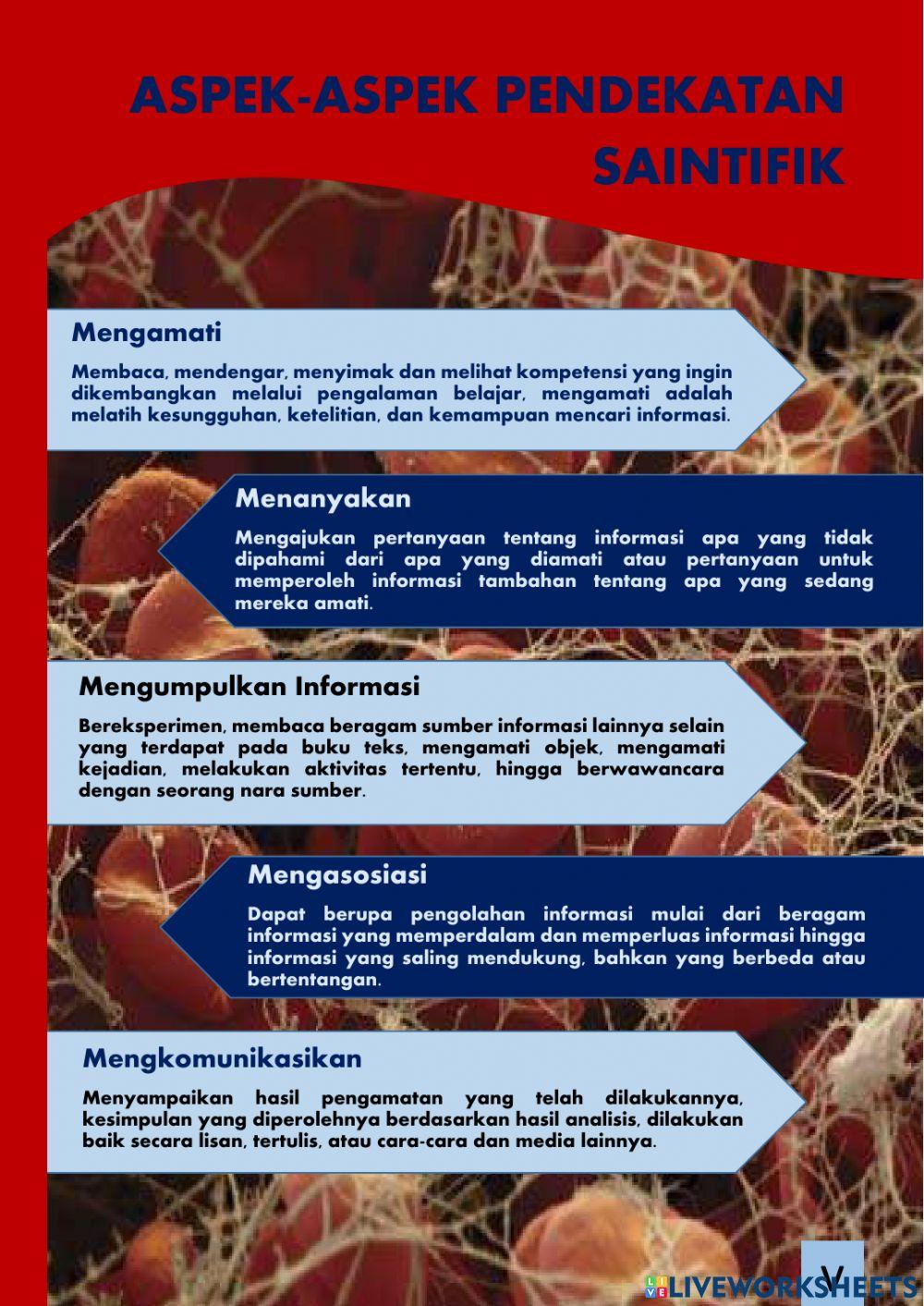 Lembar Kerja Peserta Didik Elektronik berbasis Pendekatan Saintifik pada Materi Sistem Peredaran Darah Kelas XI