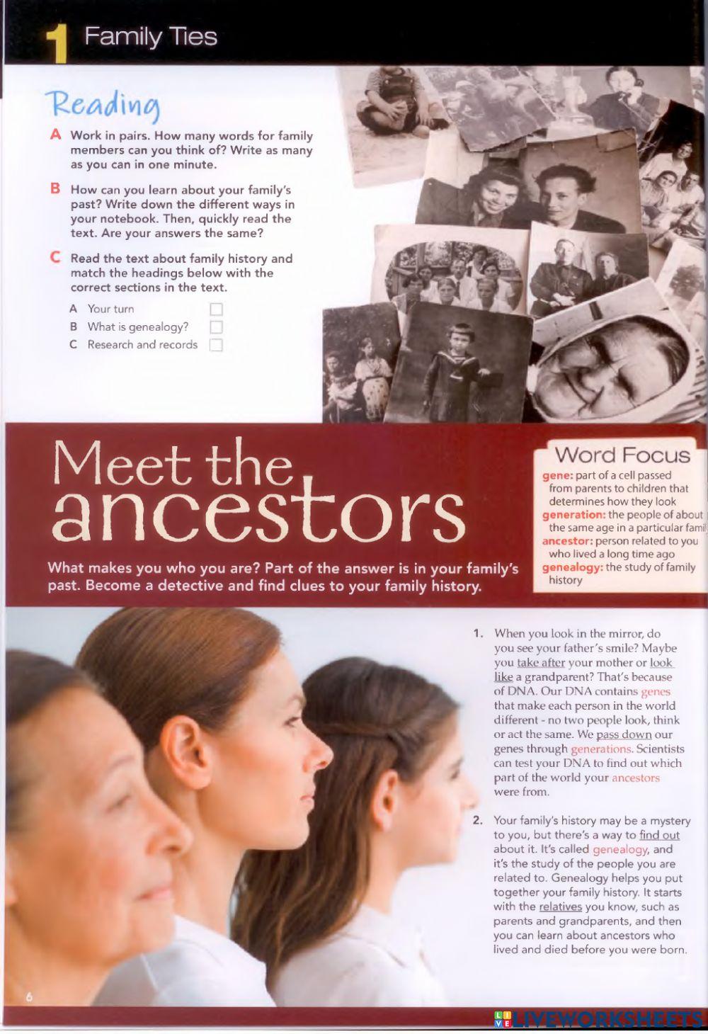 UNIT 1: FAMILY TIES - Meet The Ancestors : Reading - Vocabulary