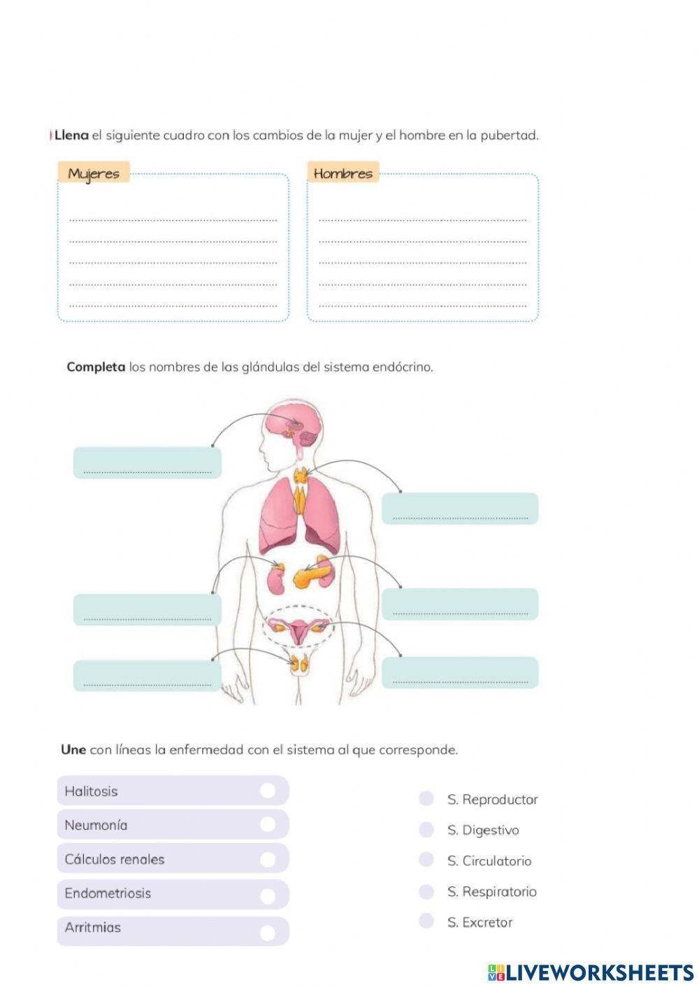 Evaluacion quimestral de ciencias naturales