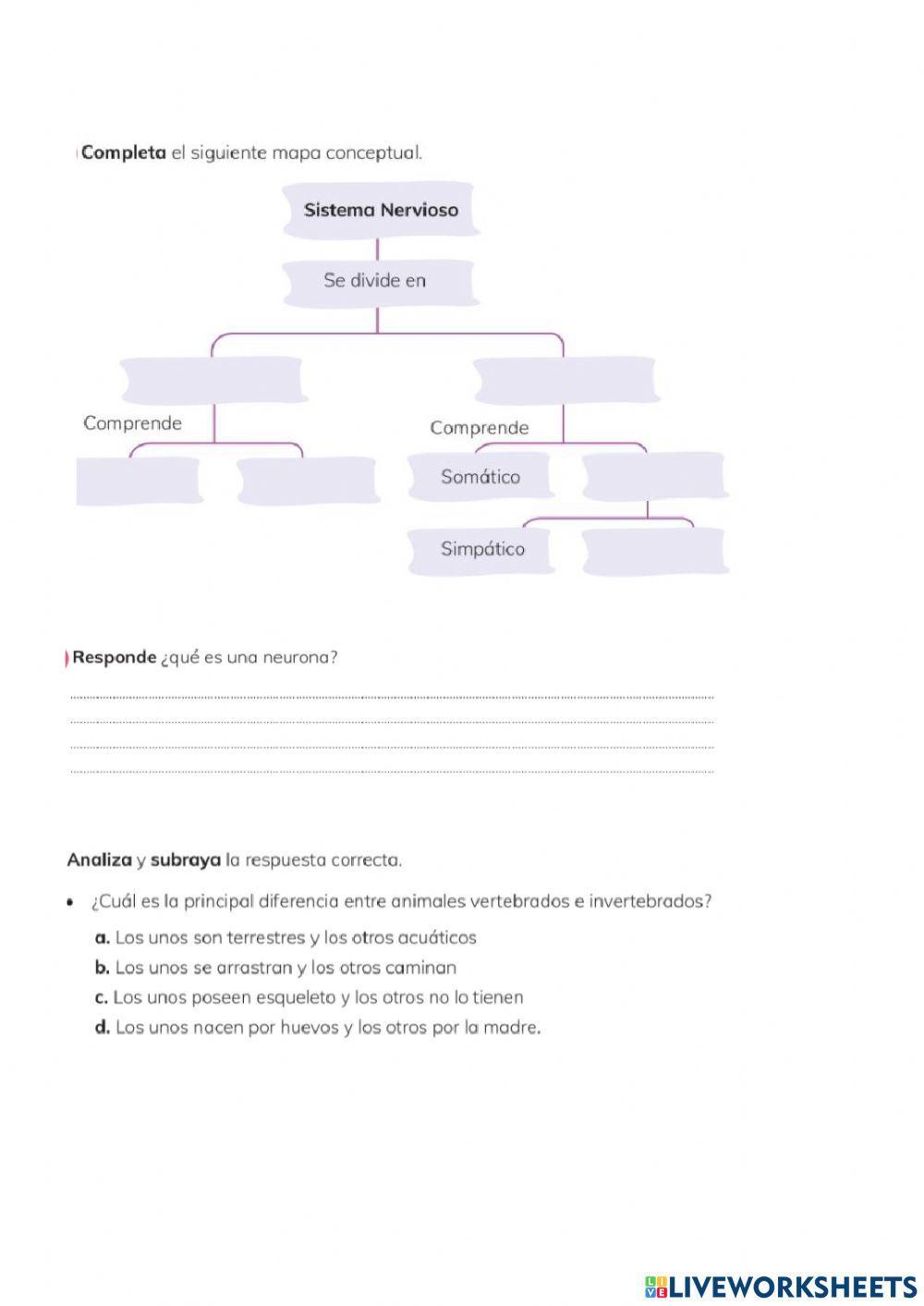 Evaluacion quimestral de ciencias naturales
