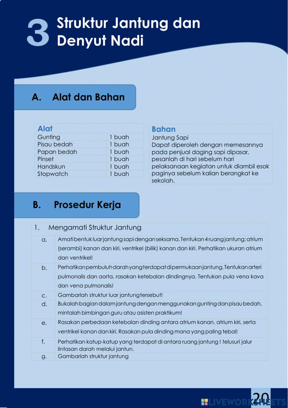 Lembar Kerja Peserta Didik Elektronik berbasis Pendekatan Saintifik pada Materi Sistem Peredaran Darah Kelas XI