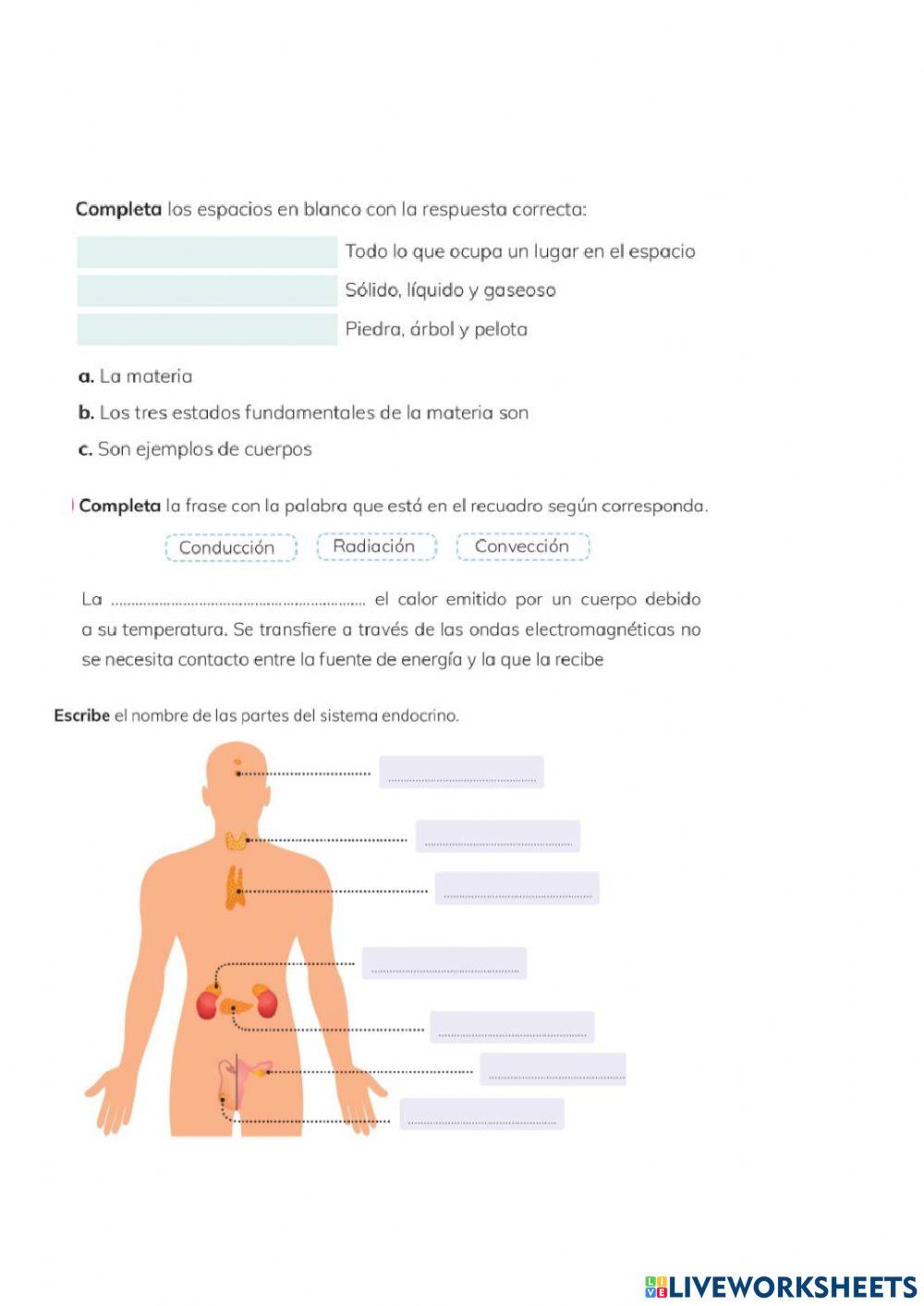 Evaluacion quimestral de ciencias naturales septimo año