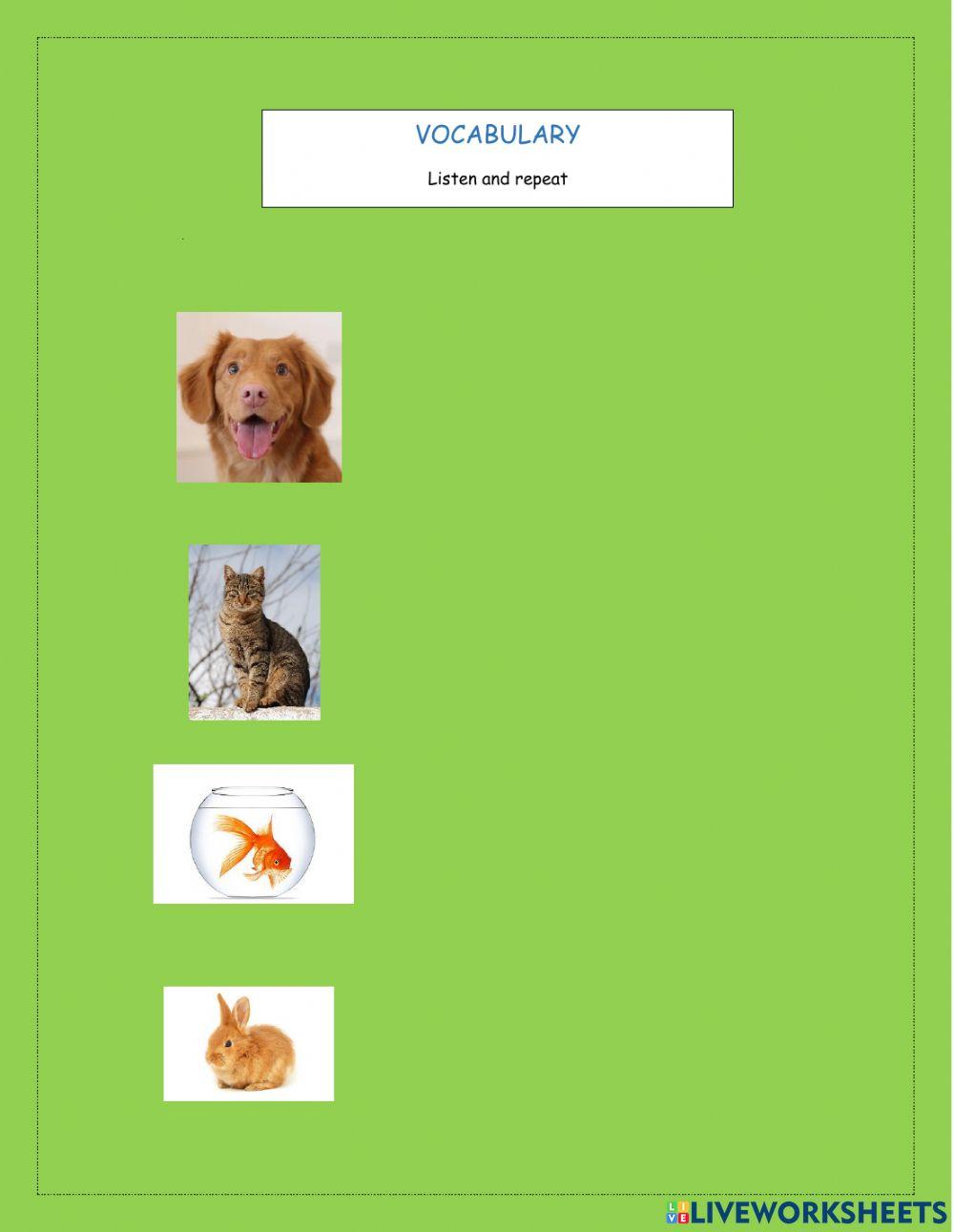 Vocabulary online exercise for Grade 2 | Live Worksheets