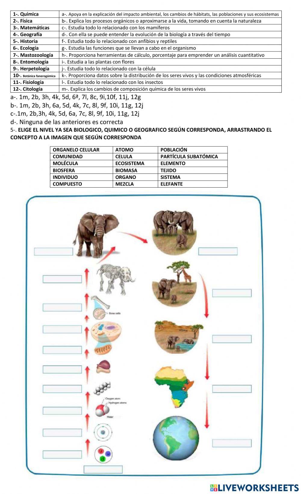 Examen parcial 1 biol