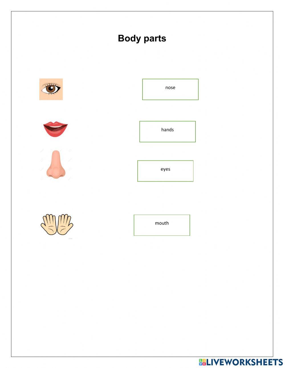 body-parts-online-exercise-for-preescolar-live-worksheets