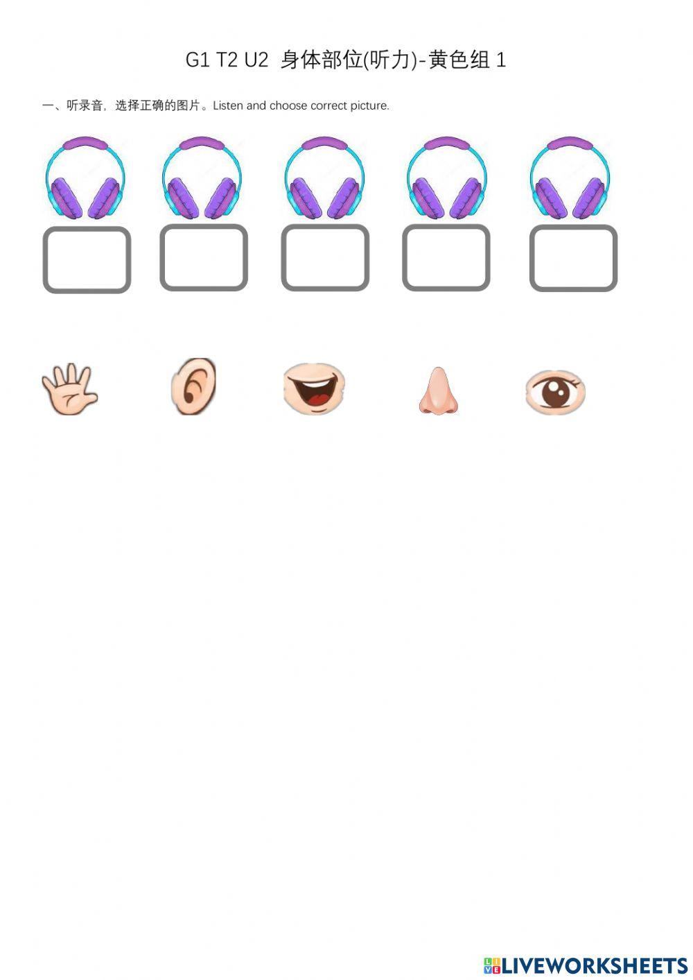 G1 T2 U2 Body Parts-听力-黄色1
