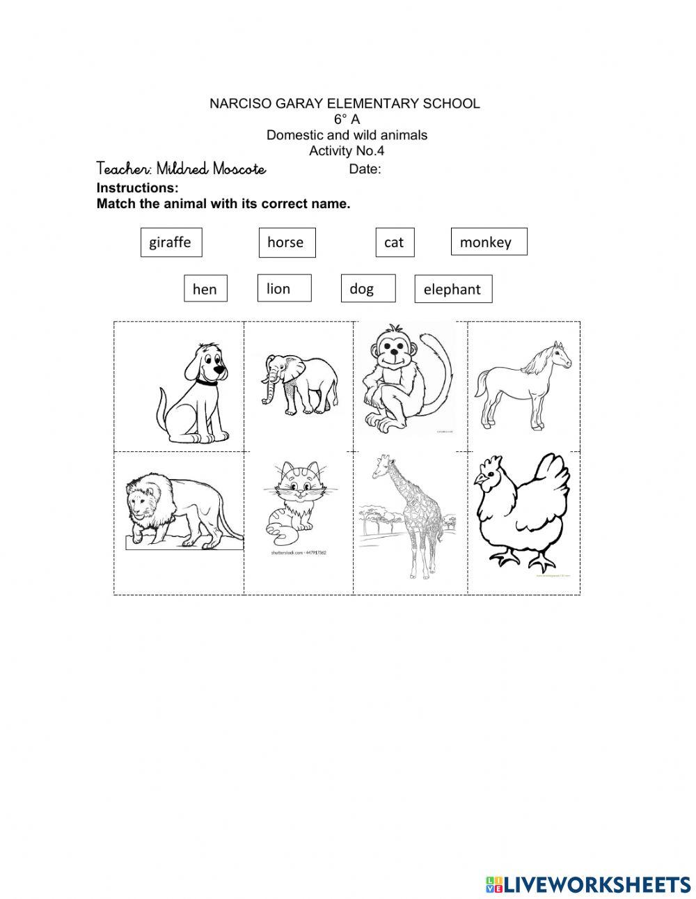 Wild and domestic animals