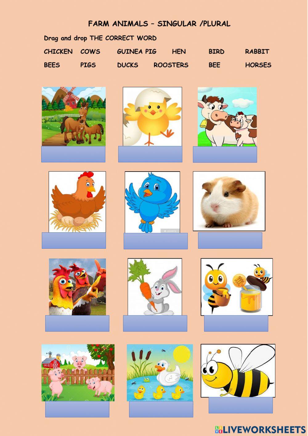 Farm animals