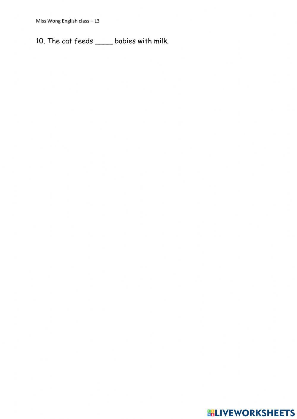 Possessive adjectives