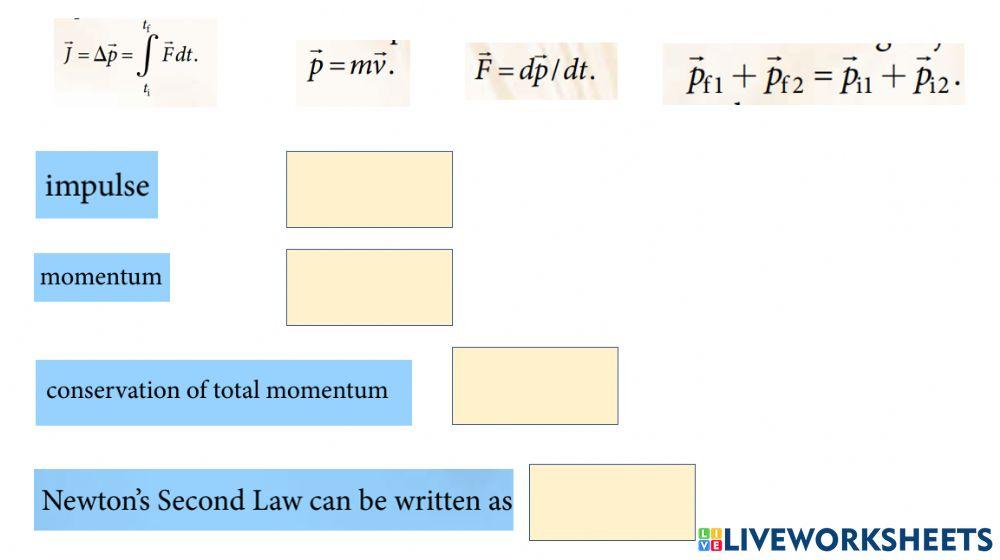 Momentum Momentum