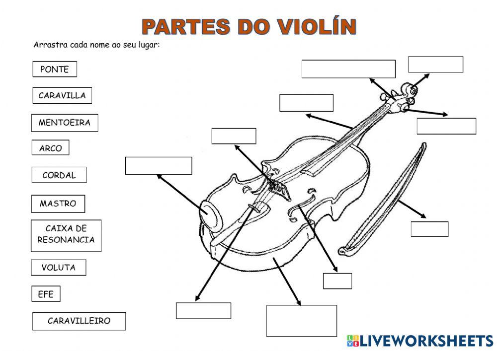 Partes do violín