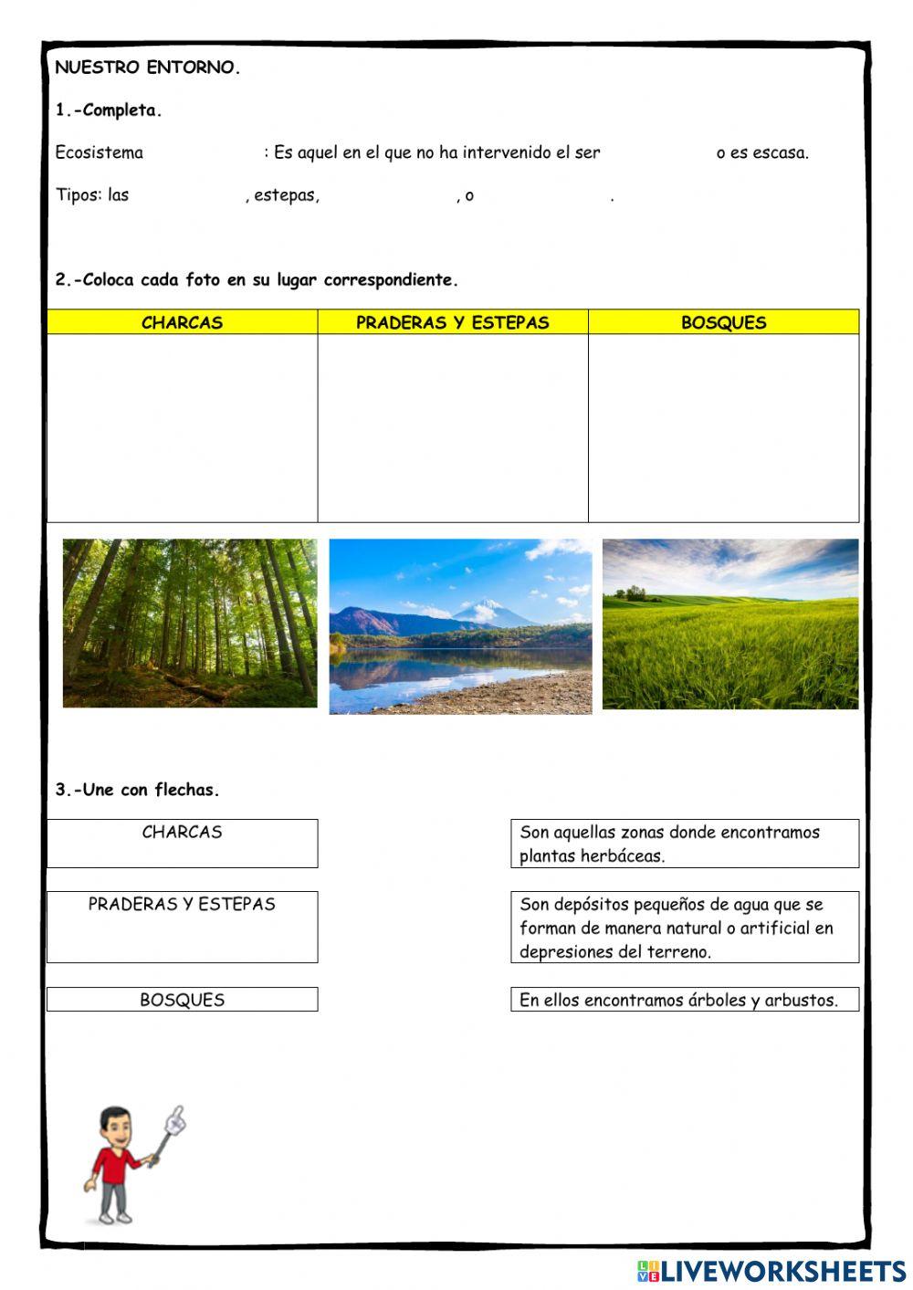 Tipos de ecosistemas Tipos de ecosistemas