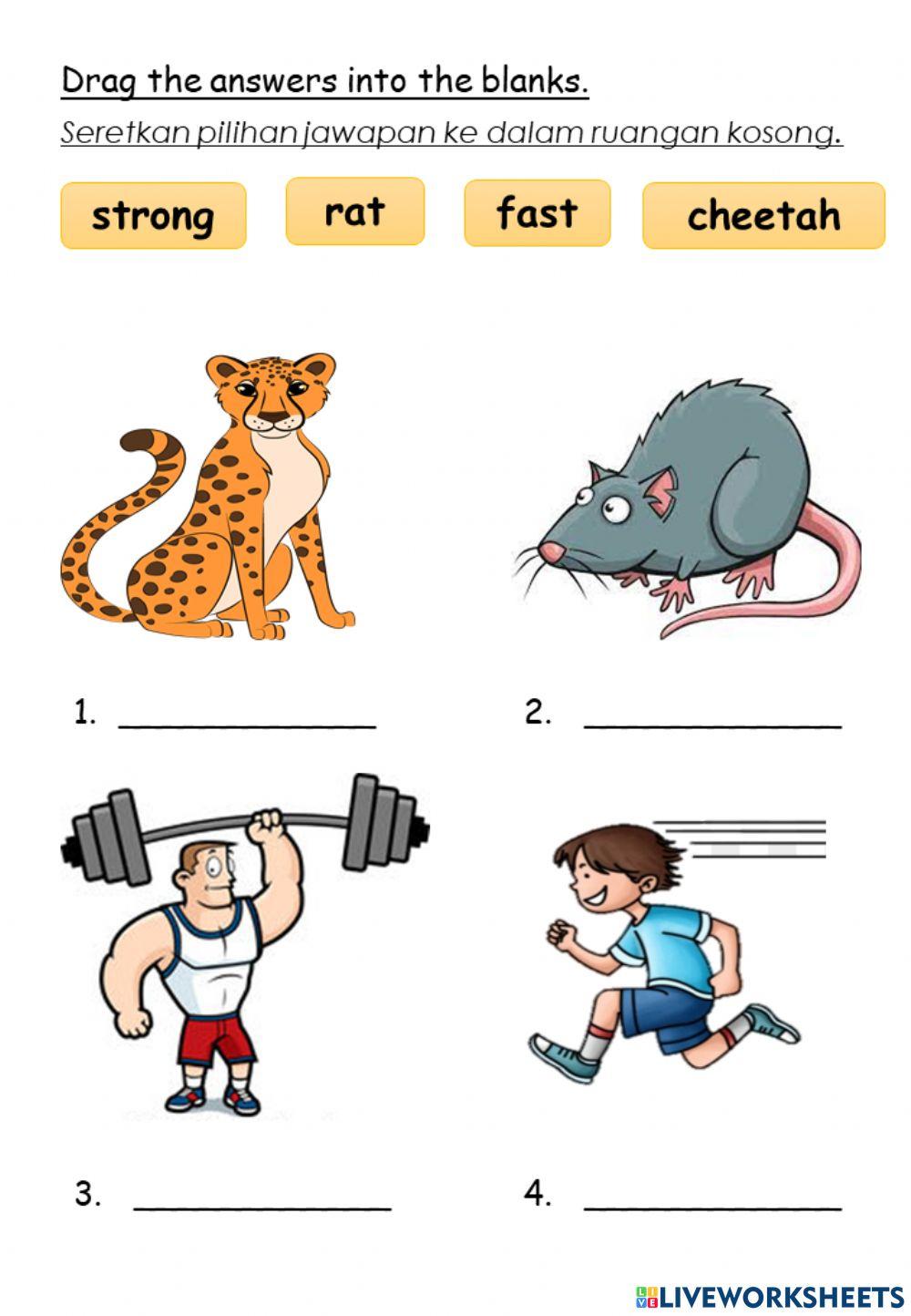 English Year 3 unit 10 The World Around Us Vocabulary