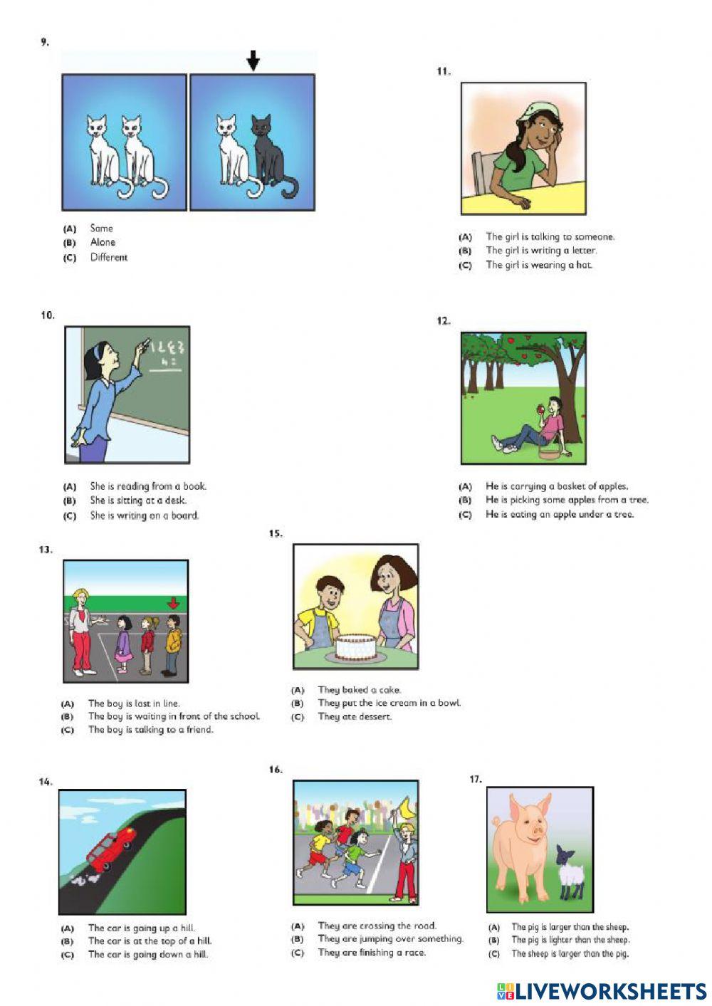 Teacher Jennifer TPS1 sample test