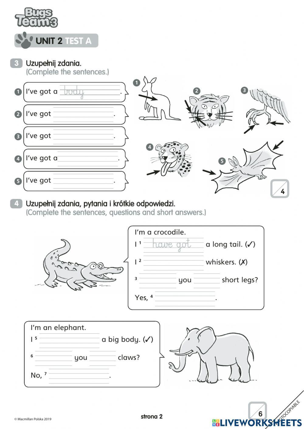 Bugs team 3 unit 2 test