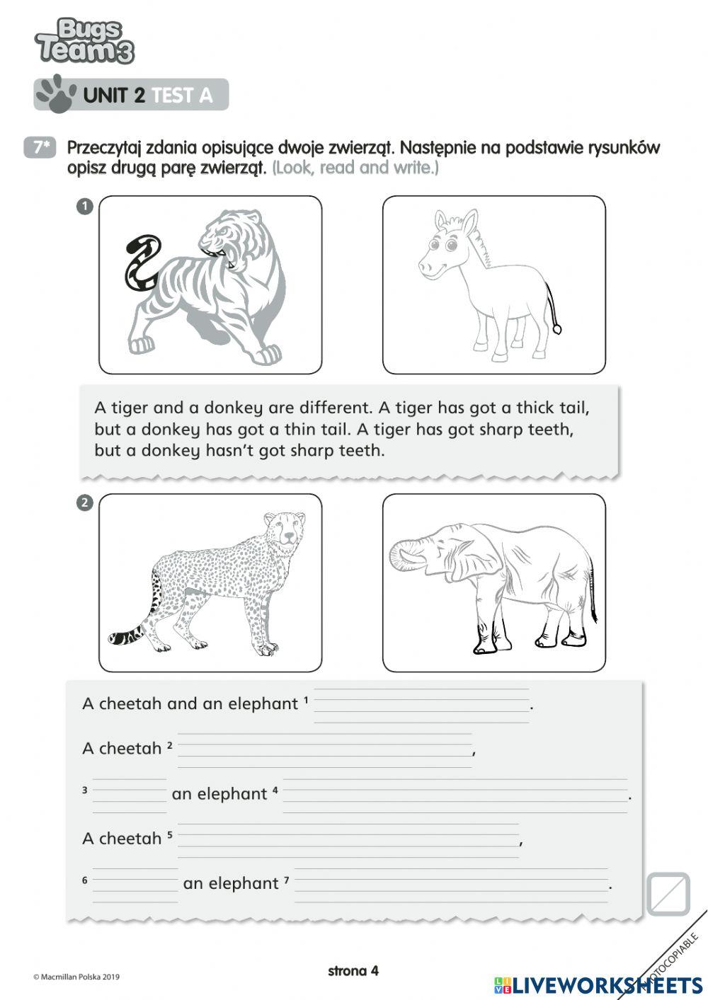 Bugs team 3 unit 2 test