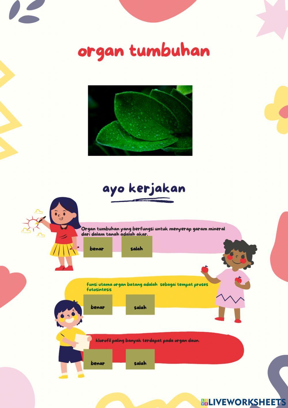 Organ tumbuhan hewan