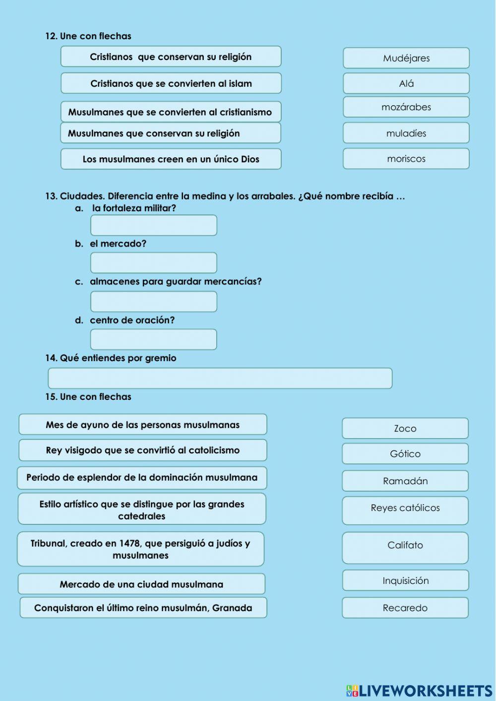 Edad media examen sociales