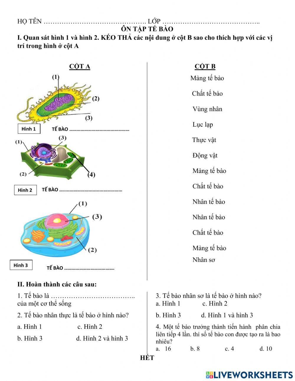 Bài ôn tập cuối kì i