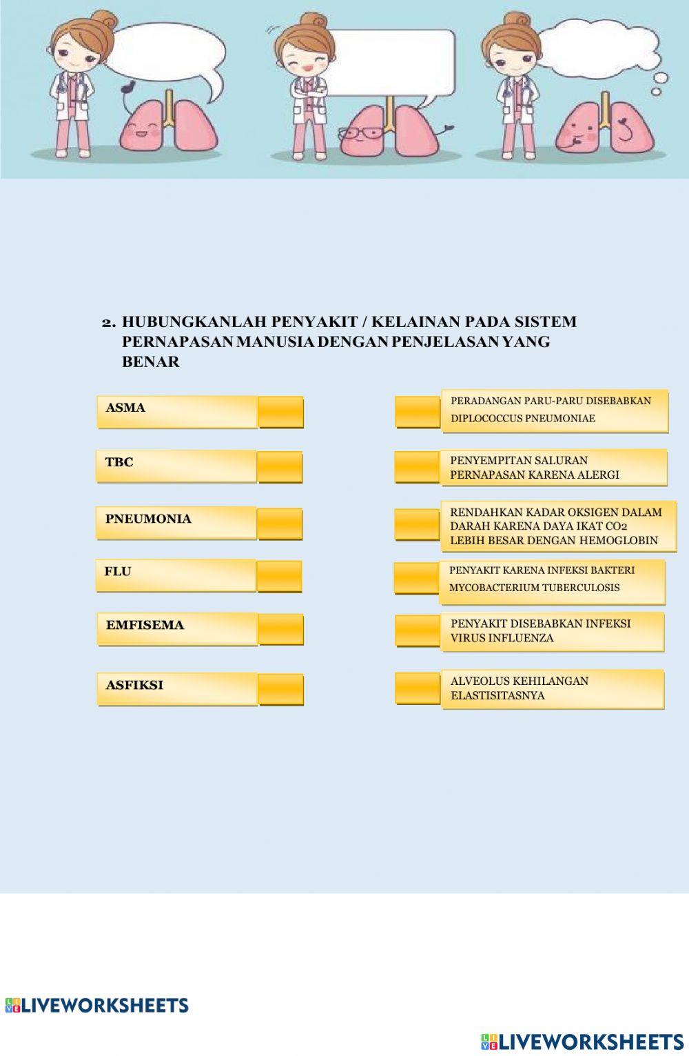 Sistem Pernapasan kls 8