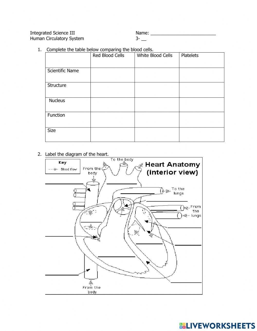 Blood and Heart | orquidia duran | Live Worksheets