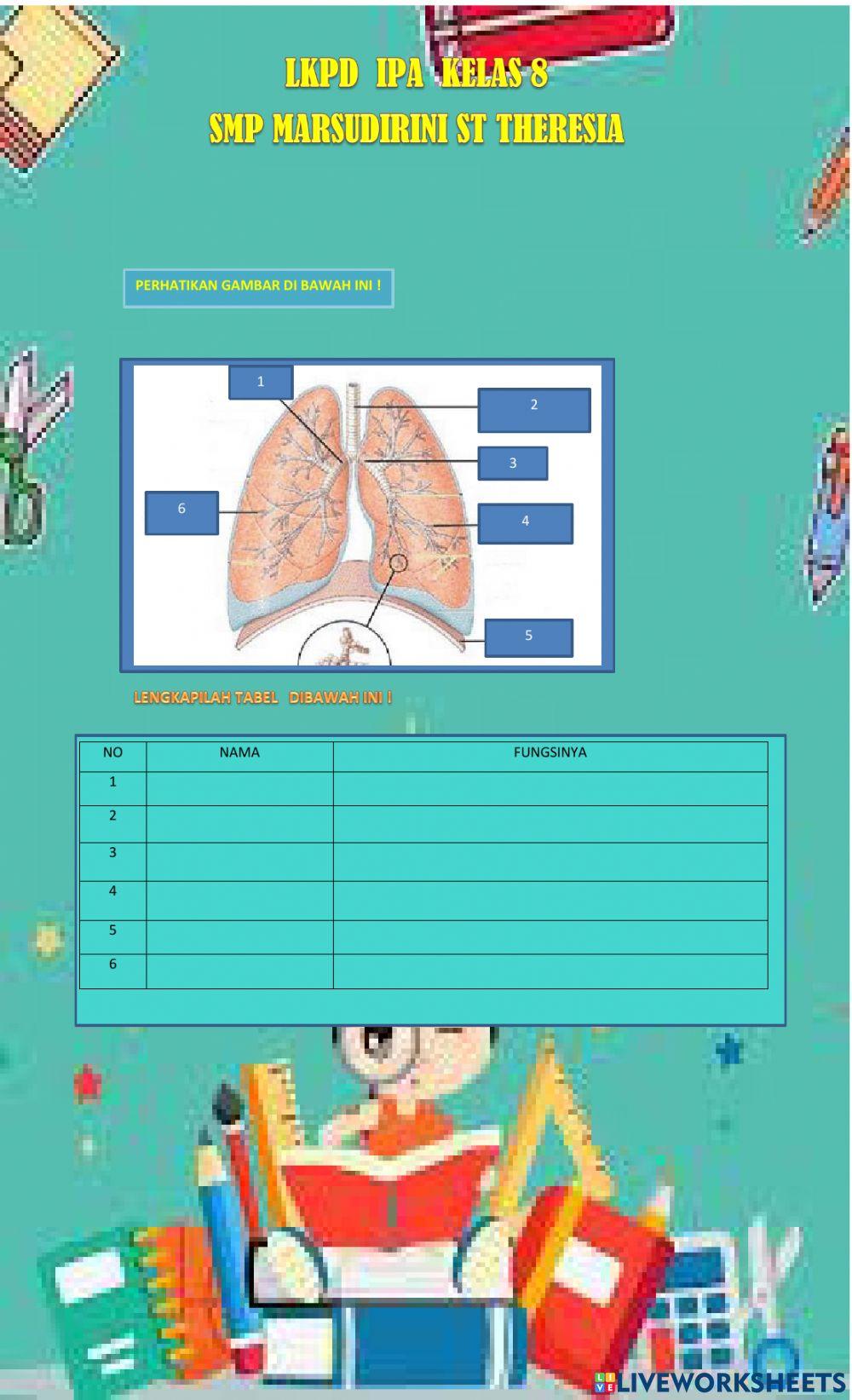 Lkpd sistem ekskresi paru-paru