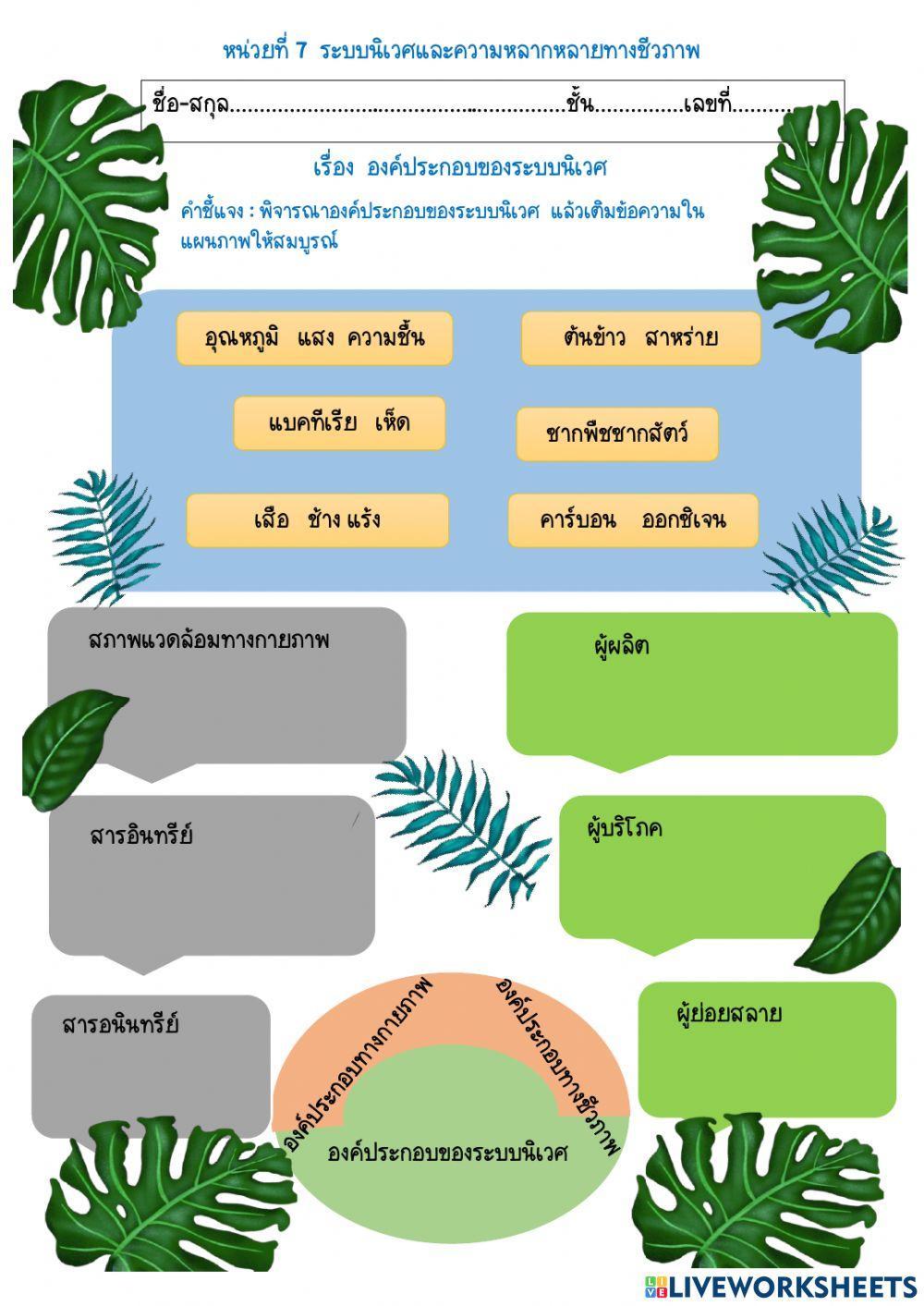 องค์ประกอบของระบบนิเวศ