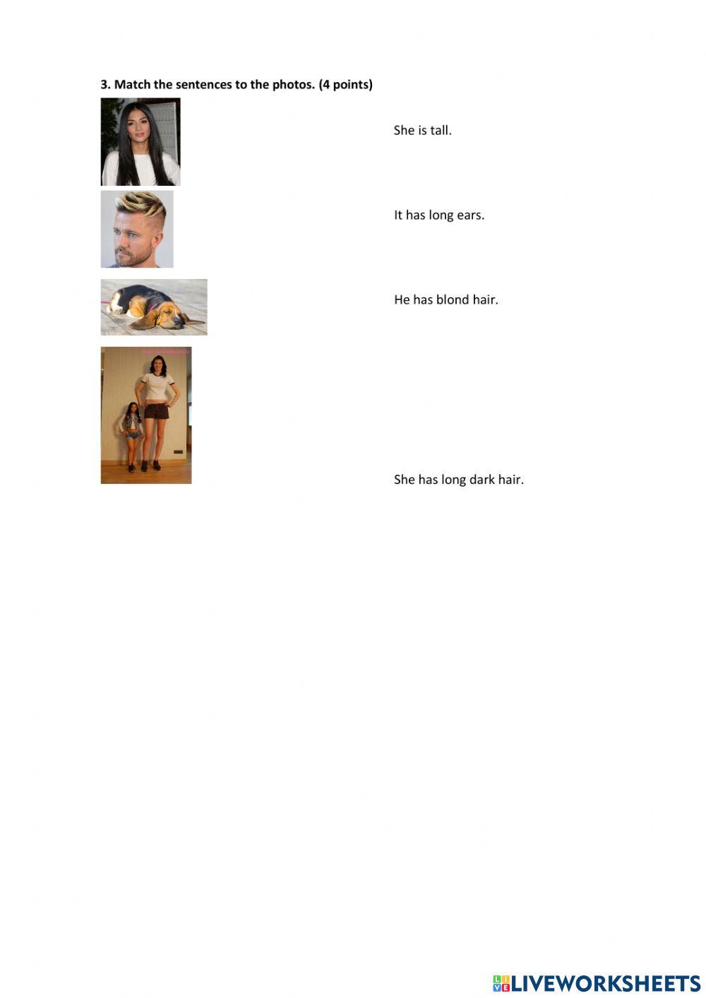 Evaluation 2nd grade