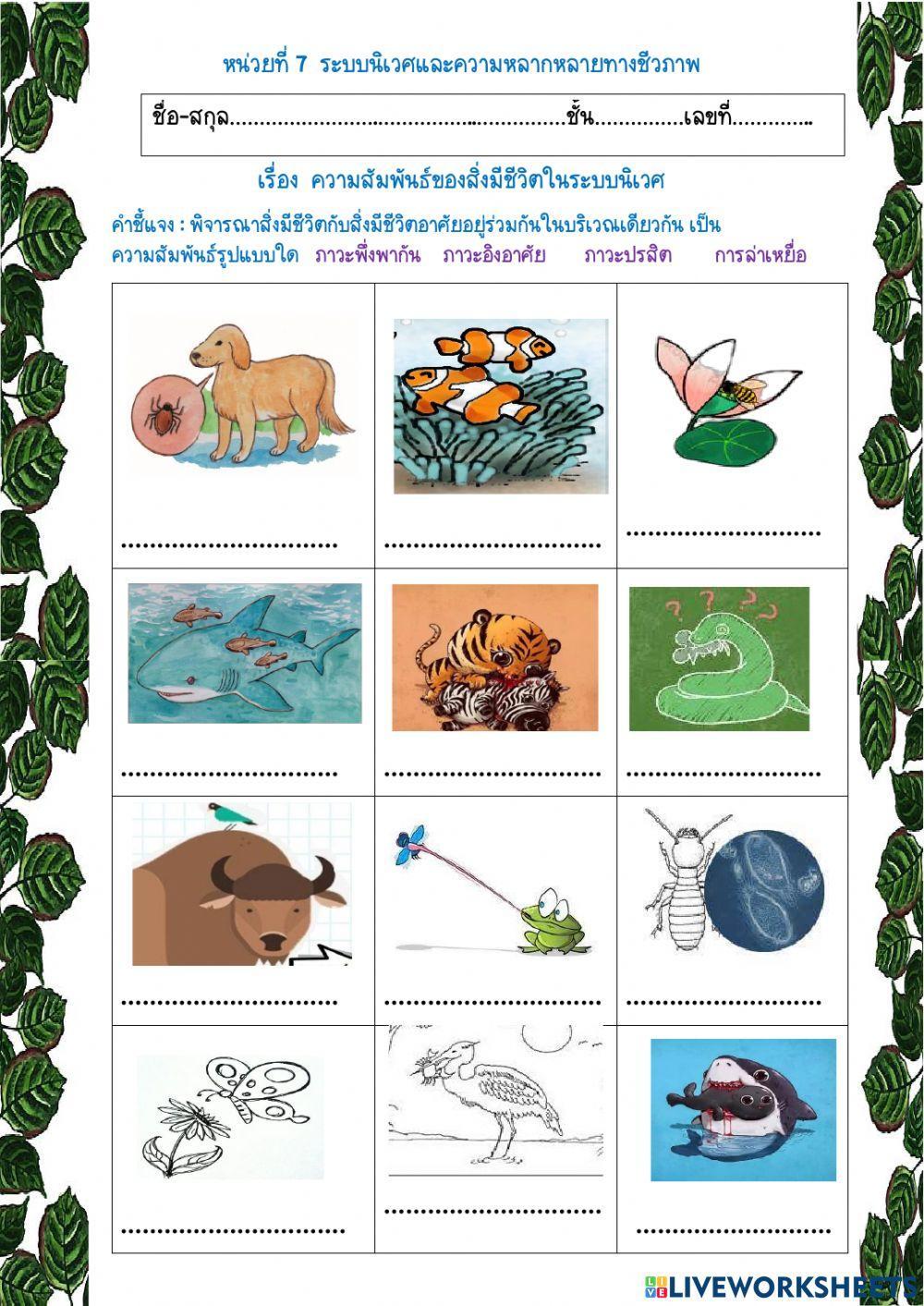 ความสัมพันธ์ของสิ่งมีชีวิต