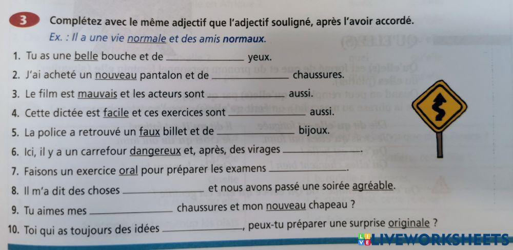 Pluriel des adjectifs