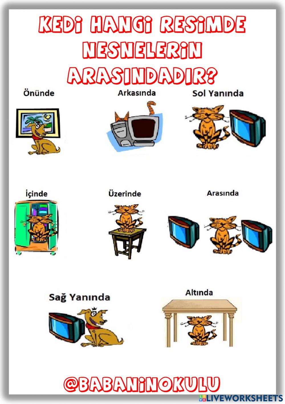 07-11 ŞUBAT GENEL TEKRAR PAZAR