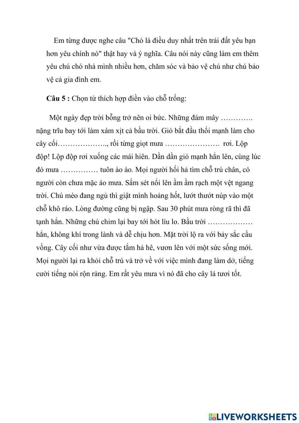 Phiếu bài tập tuần 31