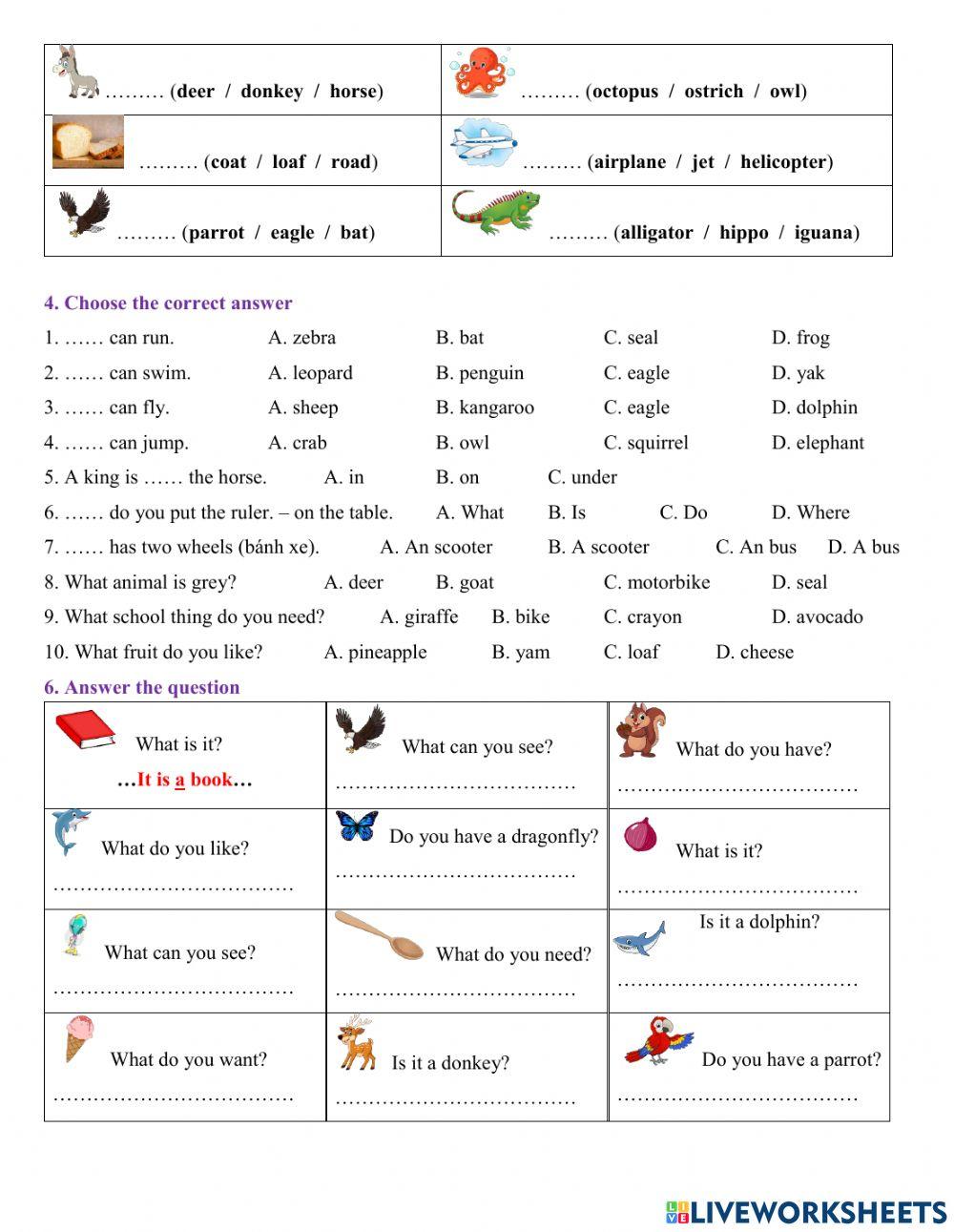 Group 2 - Review + animals