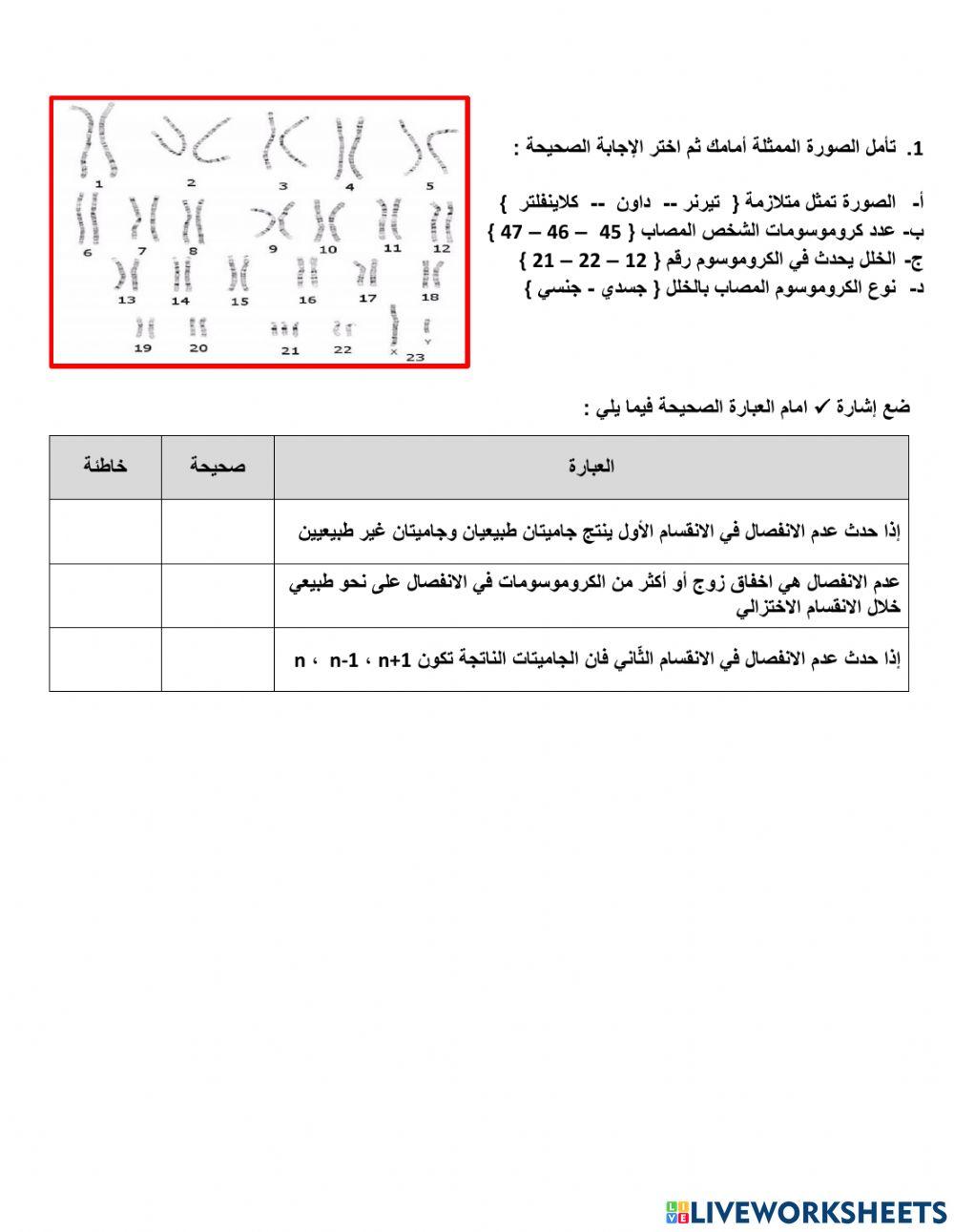 الطفرة الكروموسومية العددية