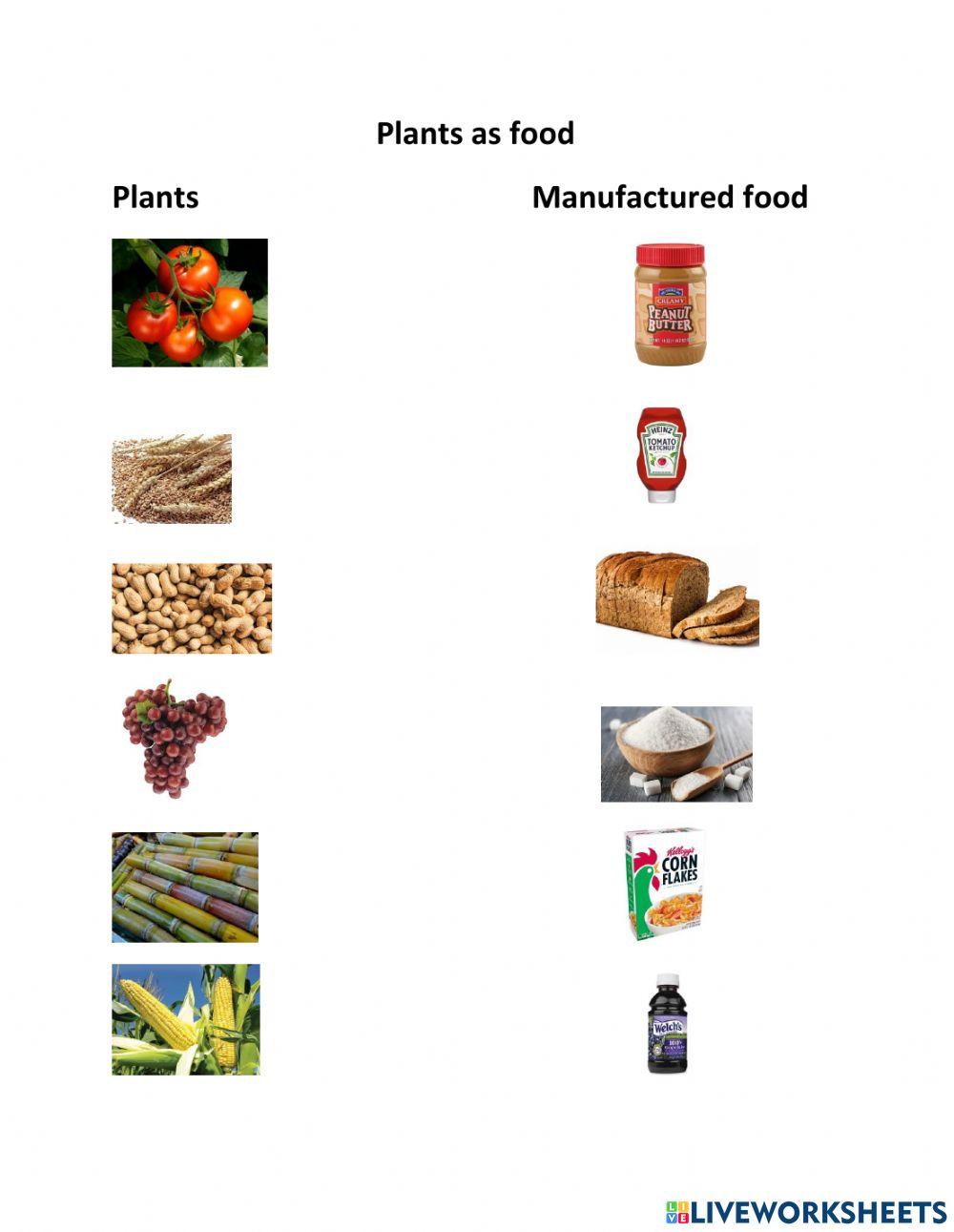 Manufactured foods Manufactured foods