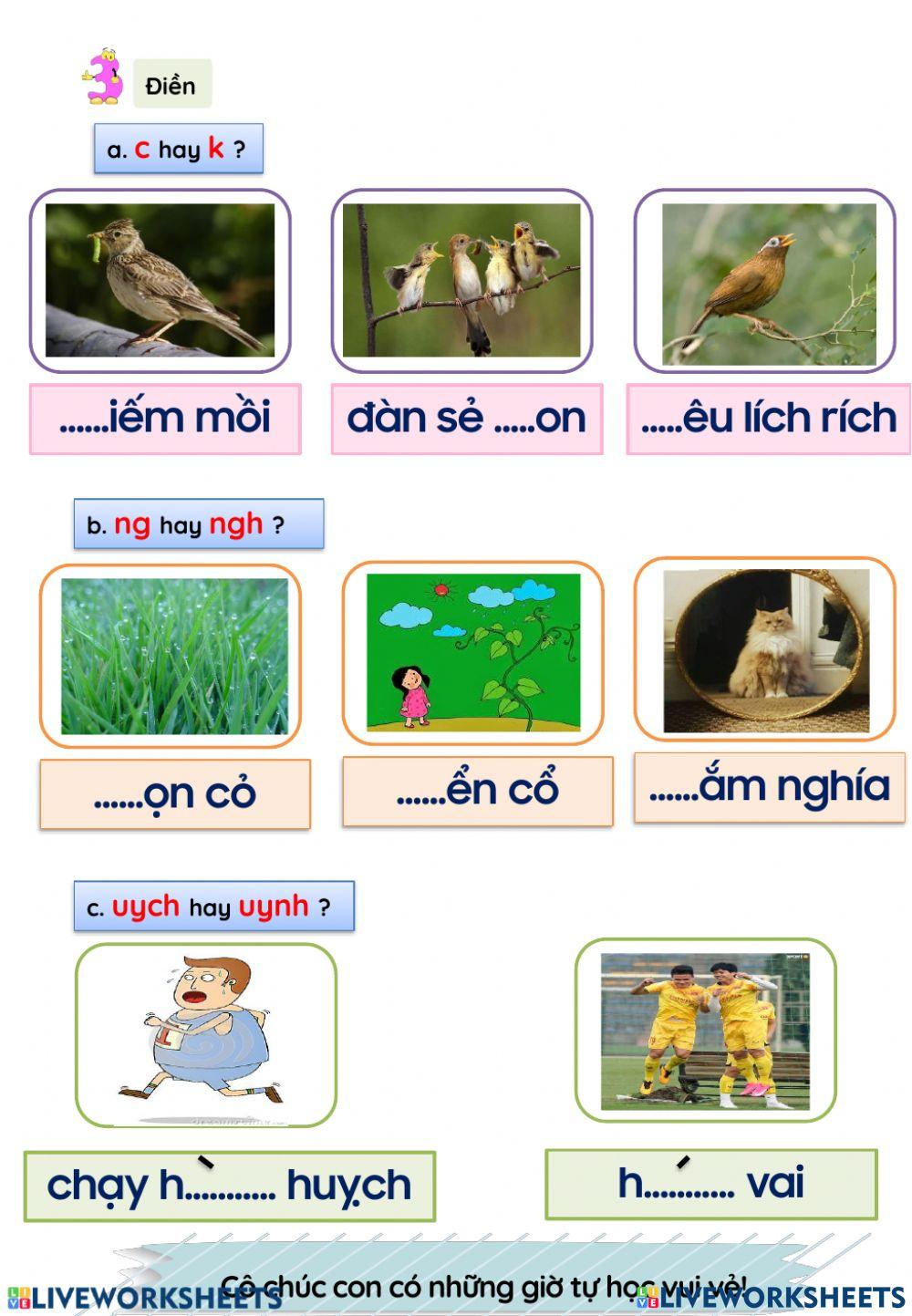 Phiếu TV Tuần 21