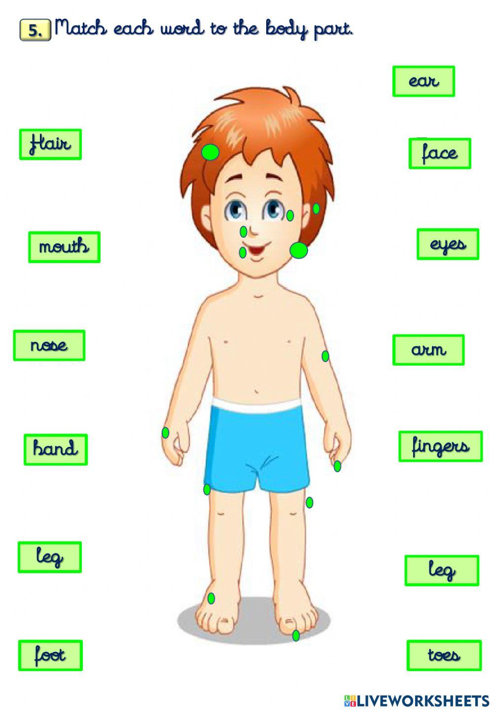 KIDS 03 - MID TERM EXAM