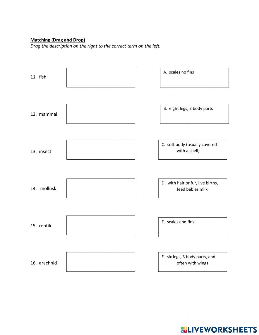 Grade 6 Science Properties vs. Structure Test (Easy)