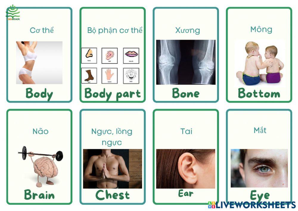 Tự luyện nghe nói 1000 từ vựng tiếng Anh thông dụng