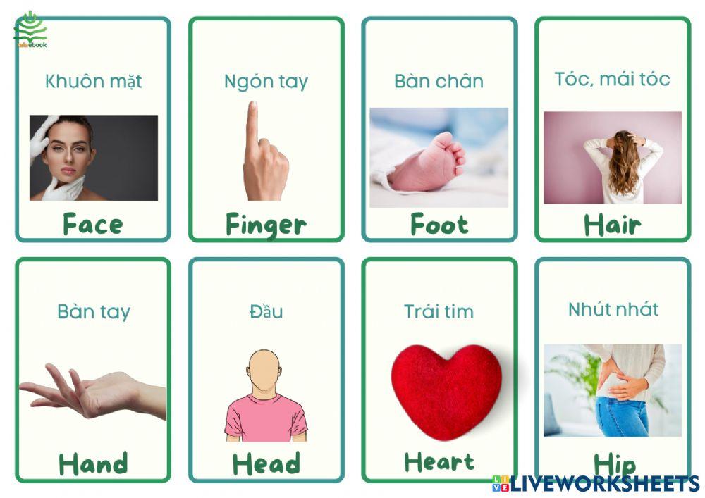 Tự luyện nghe nói 1000 từ vựng tiếng Anh thông dụng