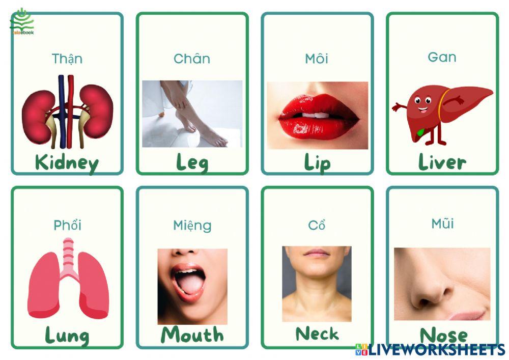 Tự luyện nghe nói 1000 từ vựng tiếng Anh thông dụng